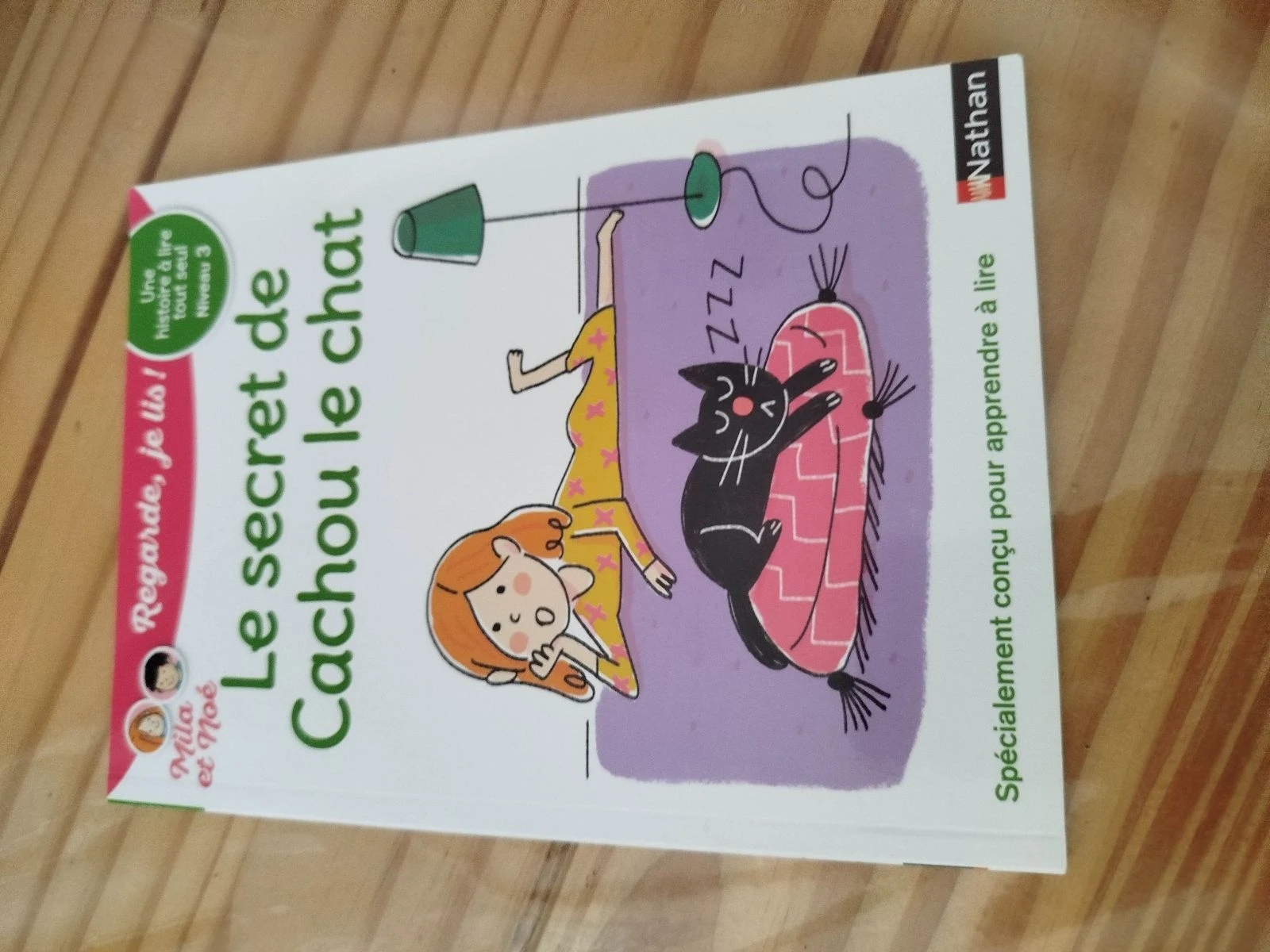 Le secret de cachou le chat 